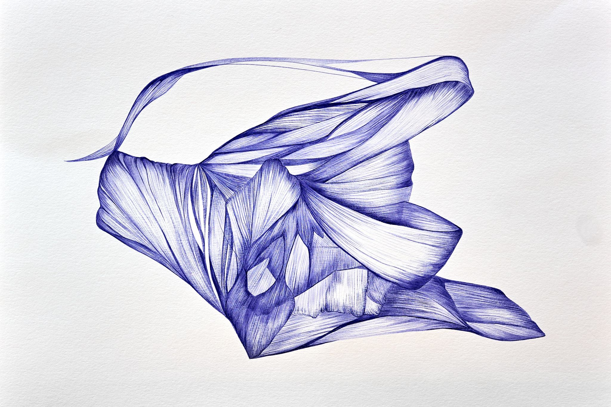 forme-297x42cm-2026