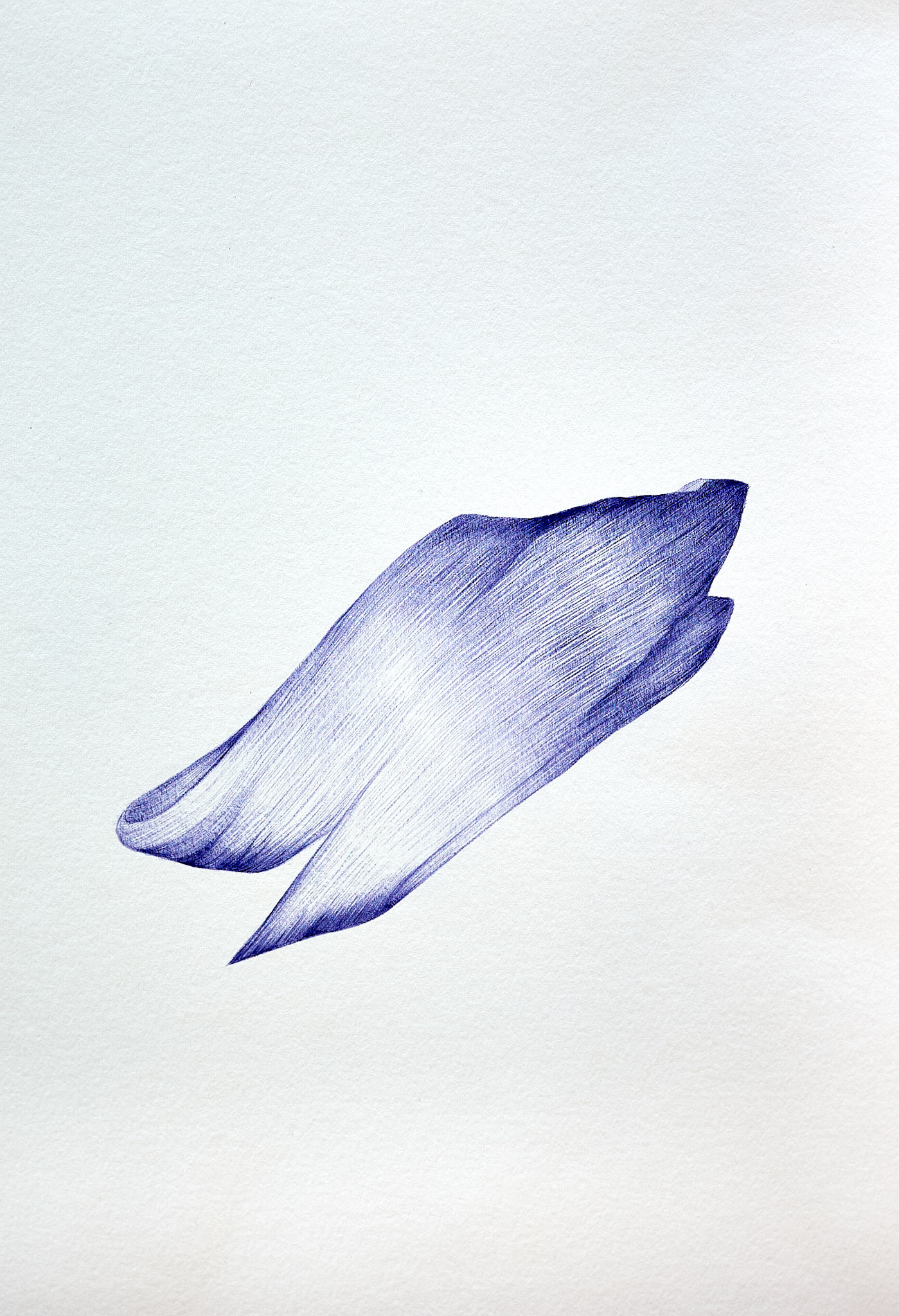 forme-3-297x42cm-2026