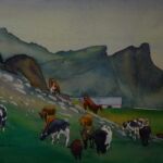 vaches islandaises