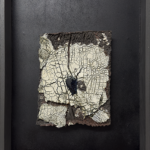 Peau de Terre par Céline Dodelin