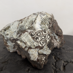 Réparer la Terre IV par Céline Dodelin