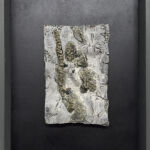 Peau de Terre par Céline Dodelin