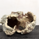 Réparer la Terre par Céline Dodelin