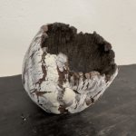 Réparer la Terre IX par Céline Dodelin