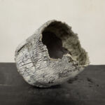 Réparer la Terre V par Céline Dodelin