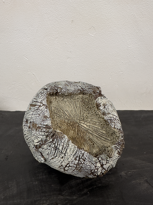 reparer-la-terre-viii