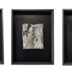 Série Peau de Terre par Céline Dodelin