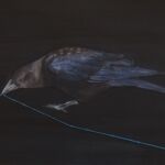 Atropos