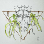 Ylang Ylang