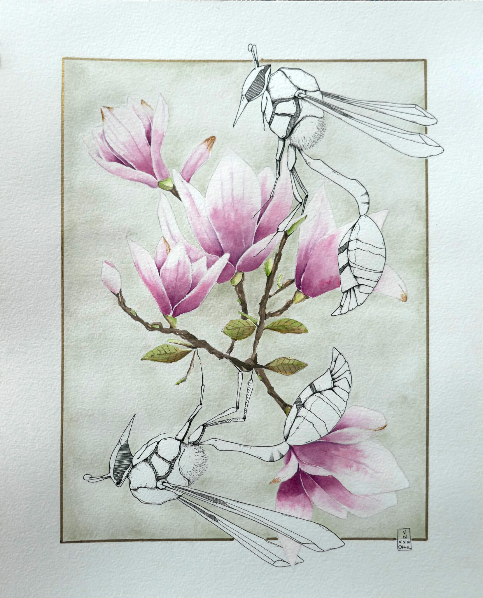 magnolia-7