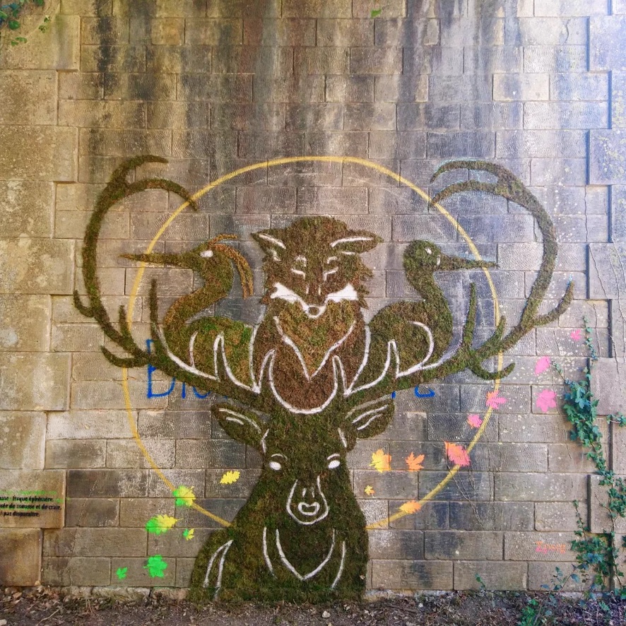 biodiversite