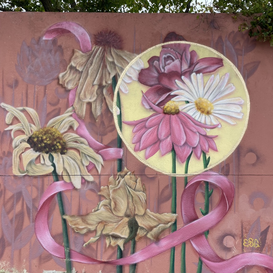 octobre-rose-6