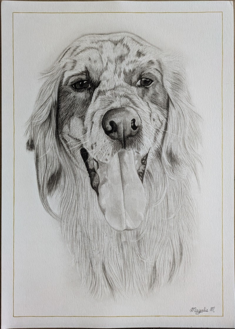 pxl_2025061gn5_144928021