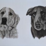 PXL_20250903_095733591