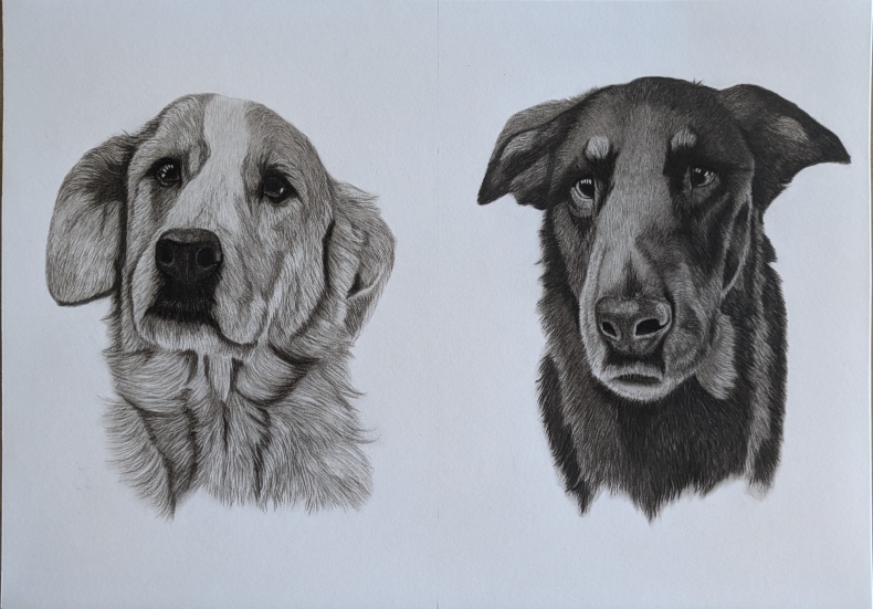 pxl_20250903_095733591