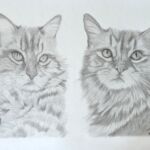 PXL_20251127_152735844~2