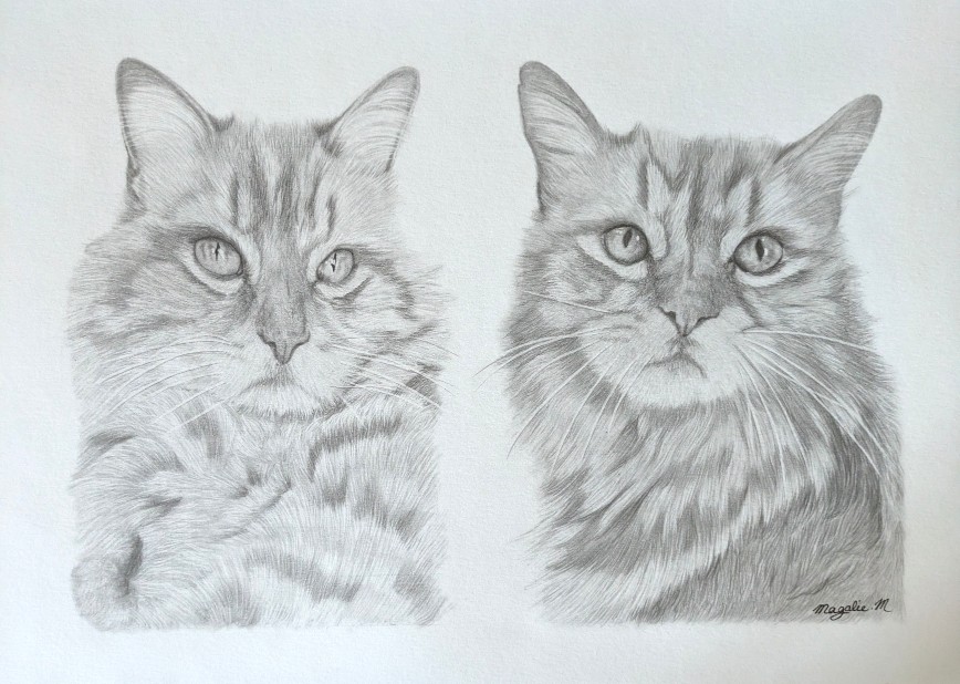 pxl_20251127_1527358442