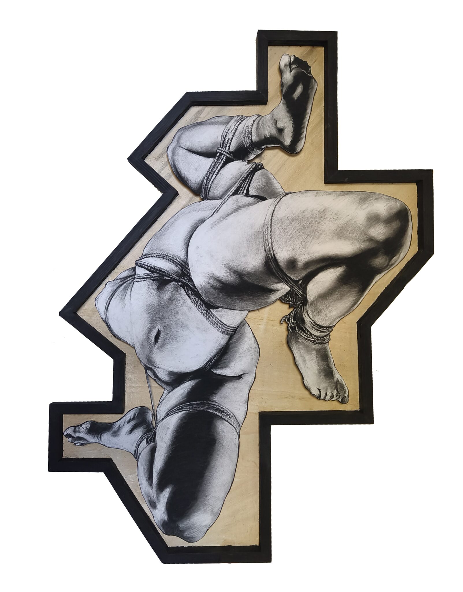 specimen-shibari-83x114-renaud-morel