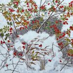 aux Confins par Isabelle Selvadjian