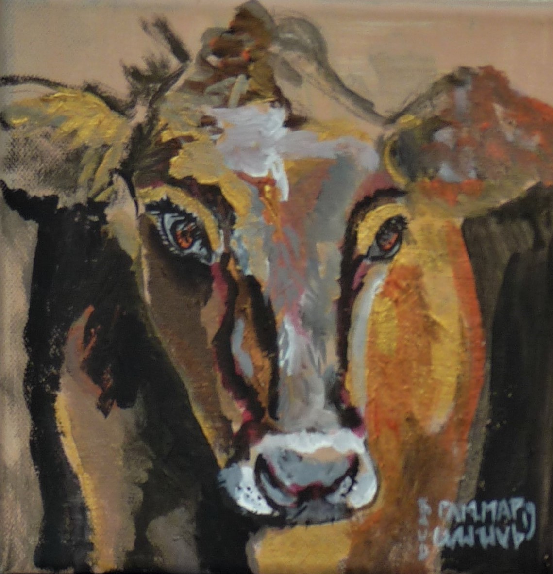 vache-douce