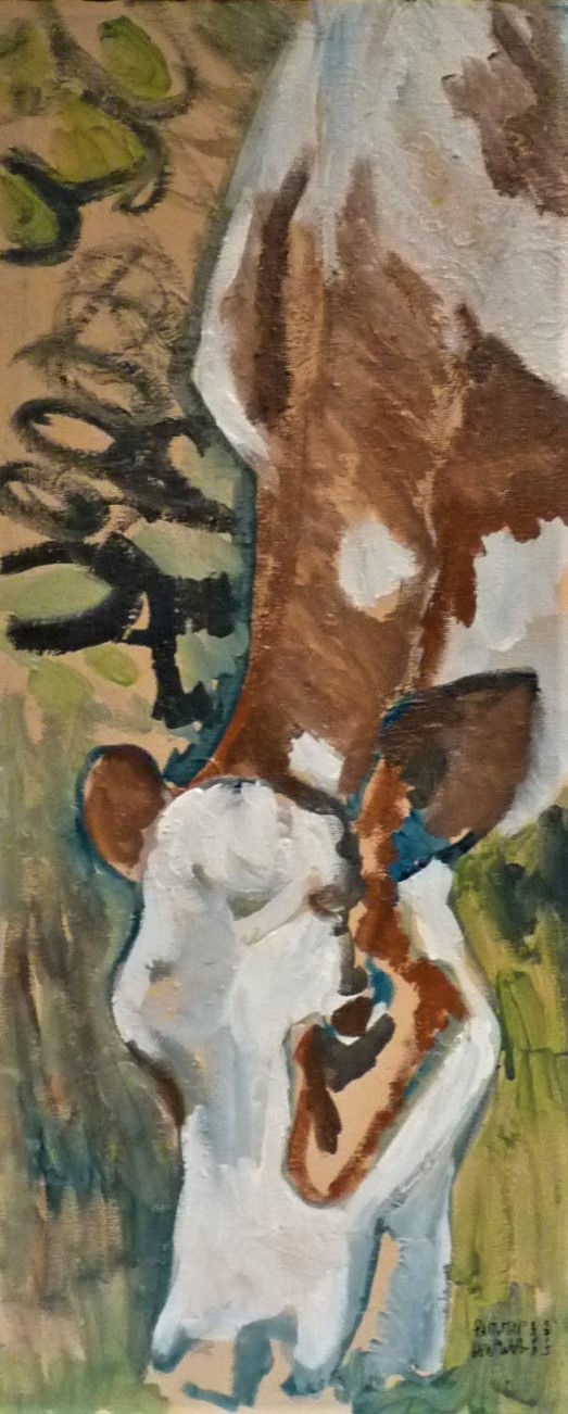 vache-nabis