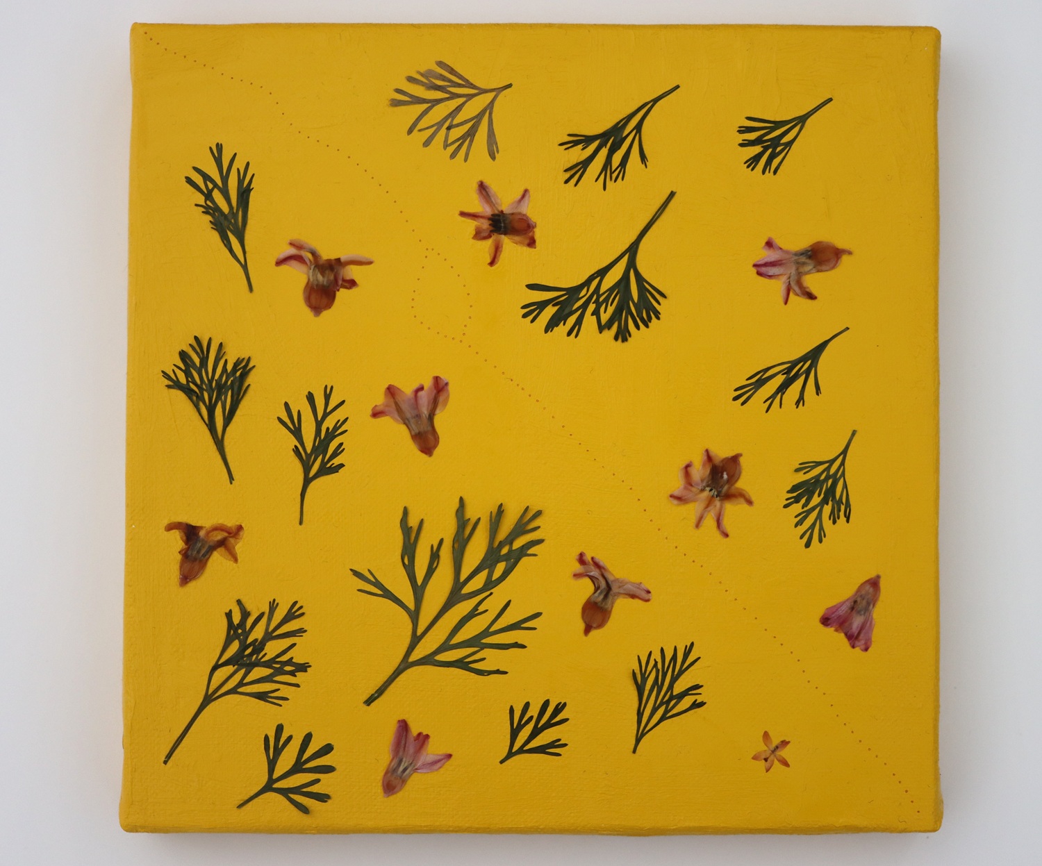 jardin-secret-4