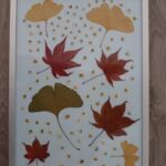 herbier par Sandra RUSSIER