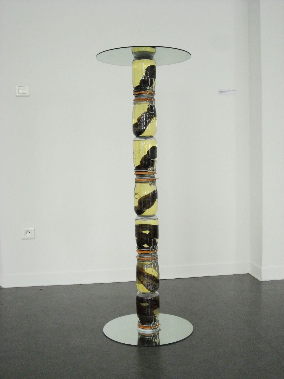 2001_2011-colonne-sans-faim-bocaux-saucisse-seche-huile-miroirs-copie