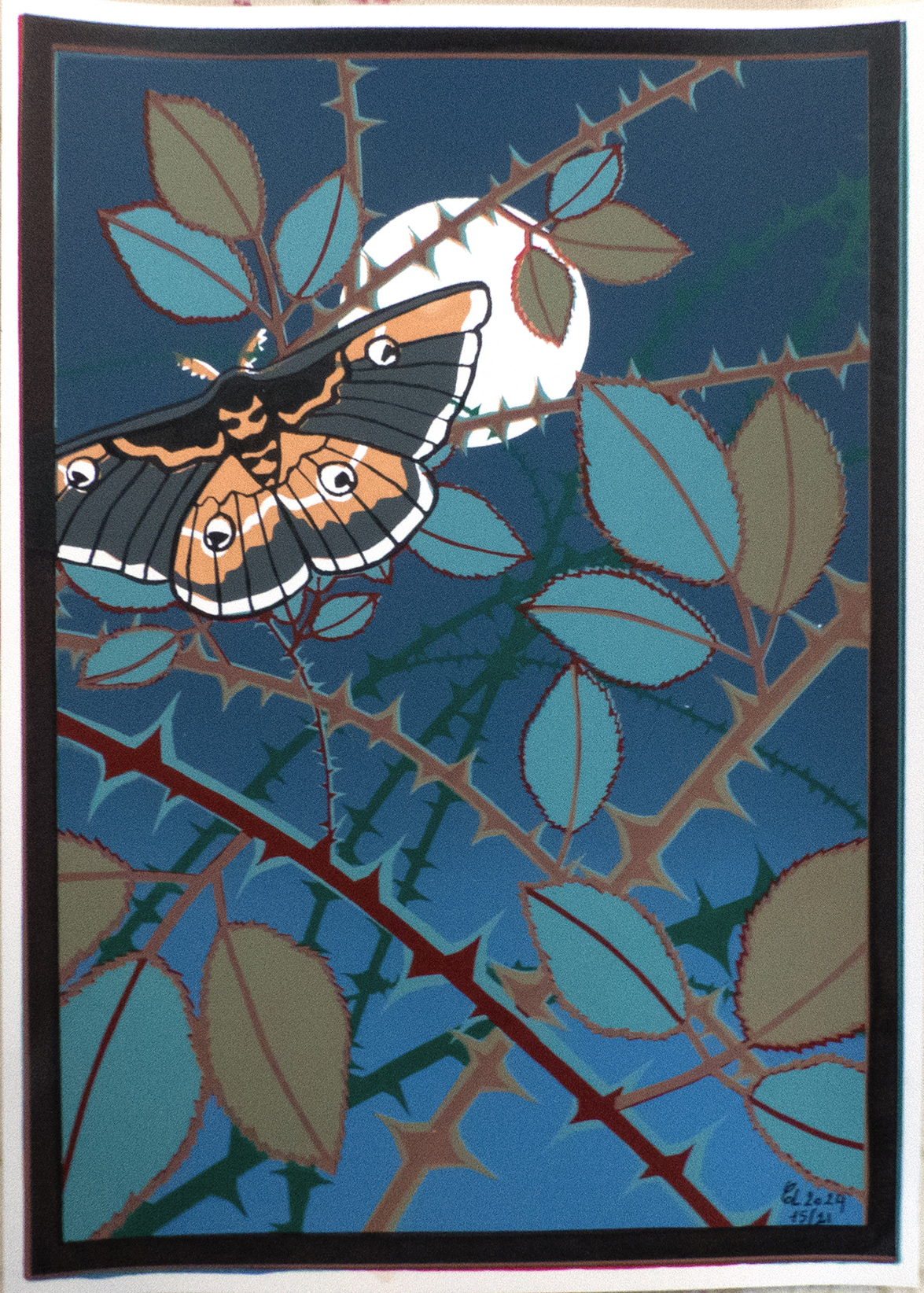 nuit-de-la-pleine-lune-n3