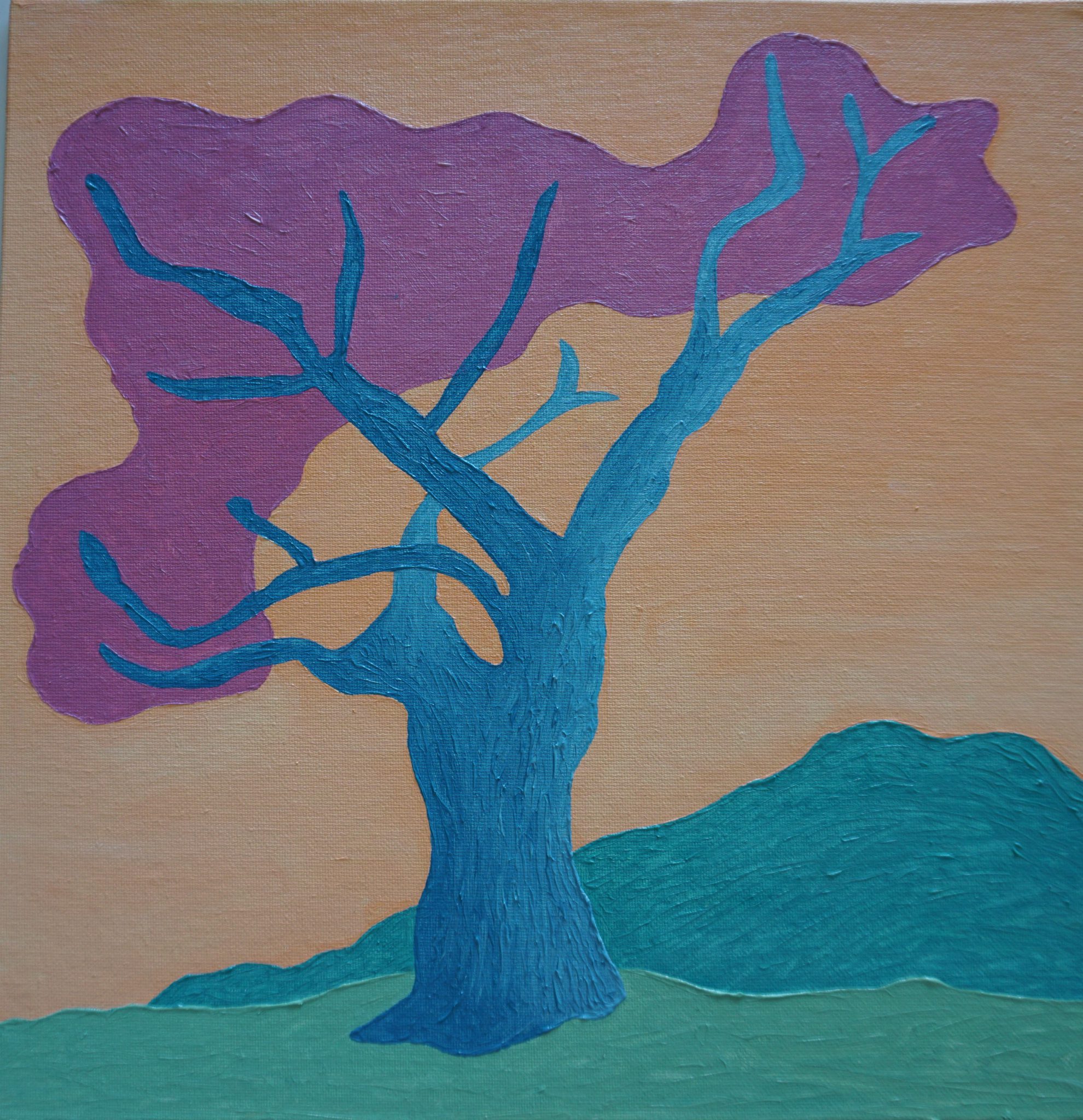 arbre-de-judee