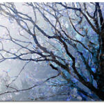 Acer in Nebula par Bernard Pourchet