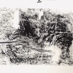 Paysage IMG_8734 par Jocelyne Outrequin