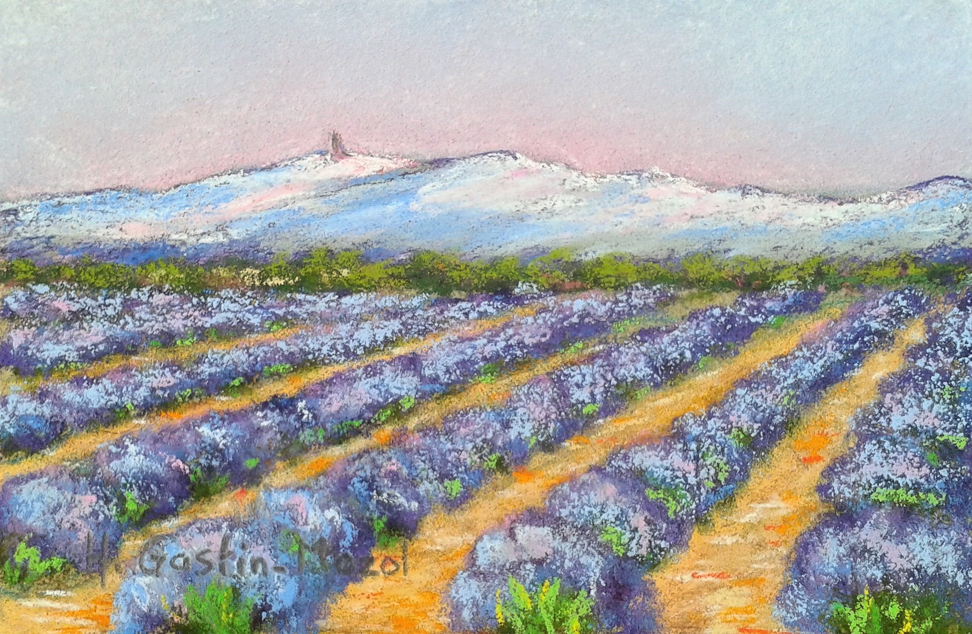 le-mt-ventoux-en-habits-bleus