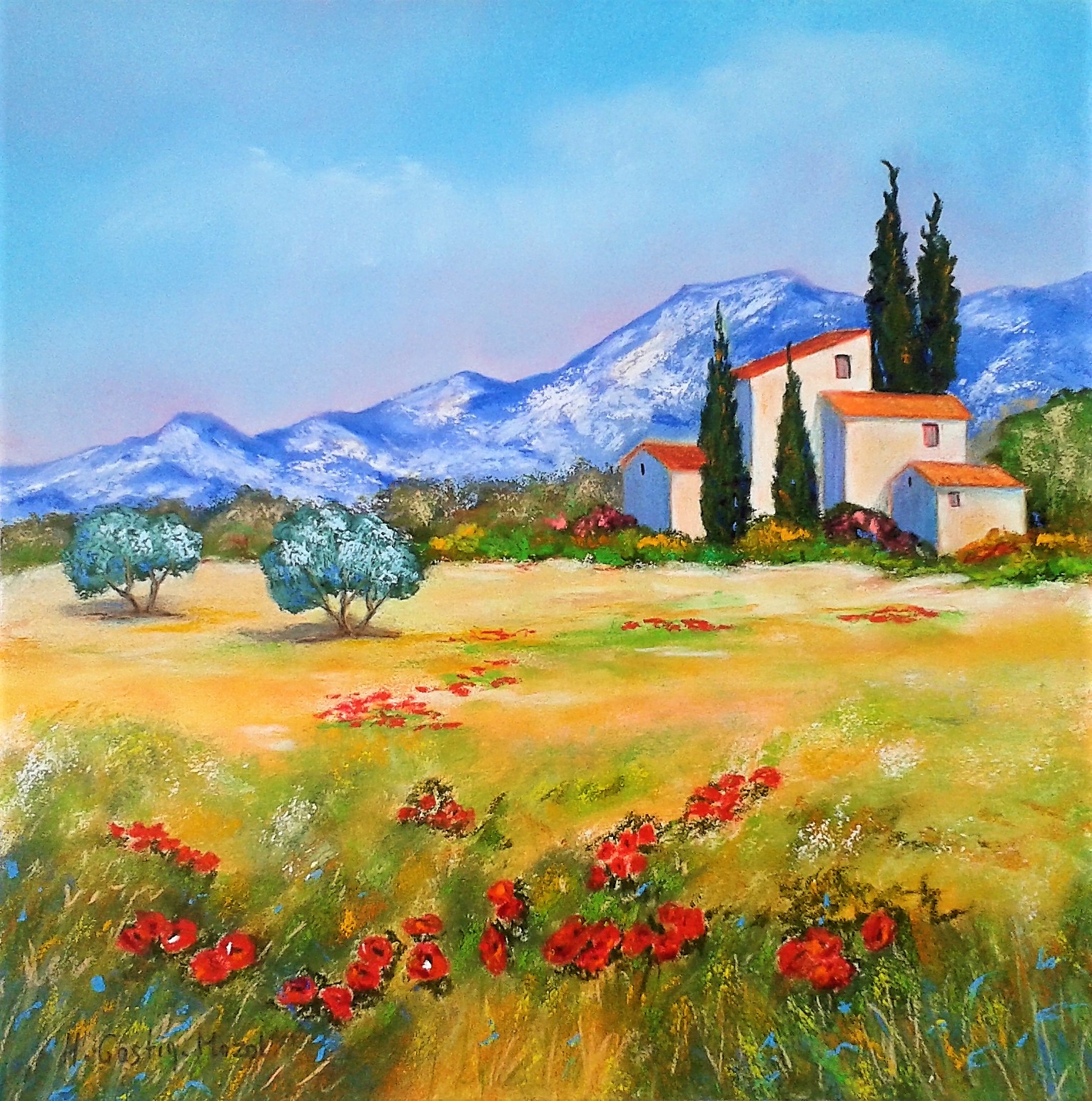 printemps-dans-les-alpilles