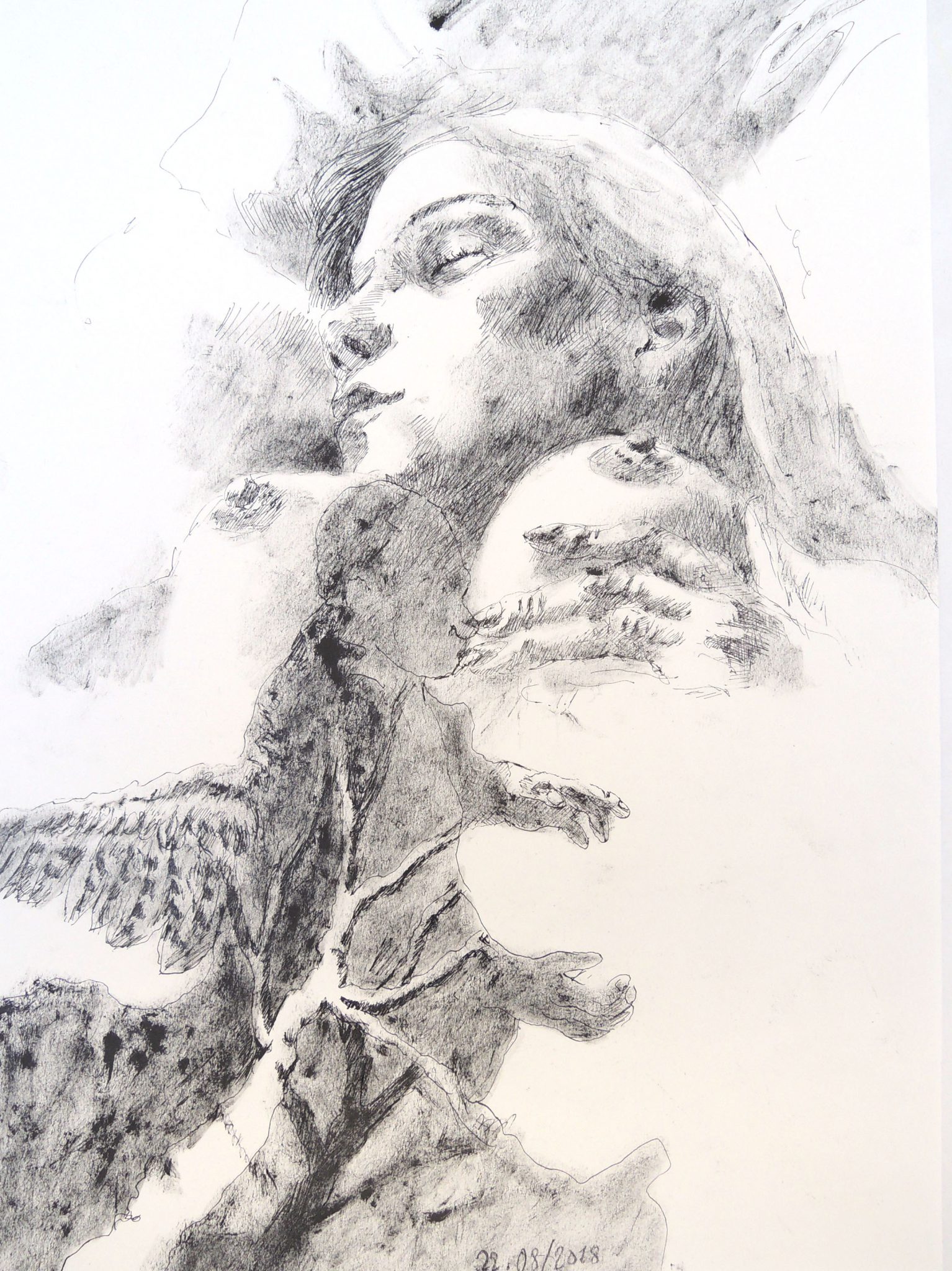 reve-ou-femme-endormie