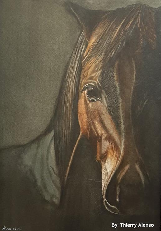 cheval-en-clair-obscur