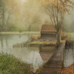 la cabane sur l'ile par Alonso Thierry