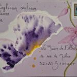 Art postal   cambria et son merle (numéro 2) - Sophie SENECHAL 2026 par Sophie SENECHAL