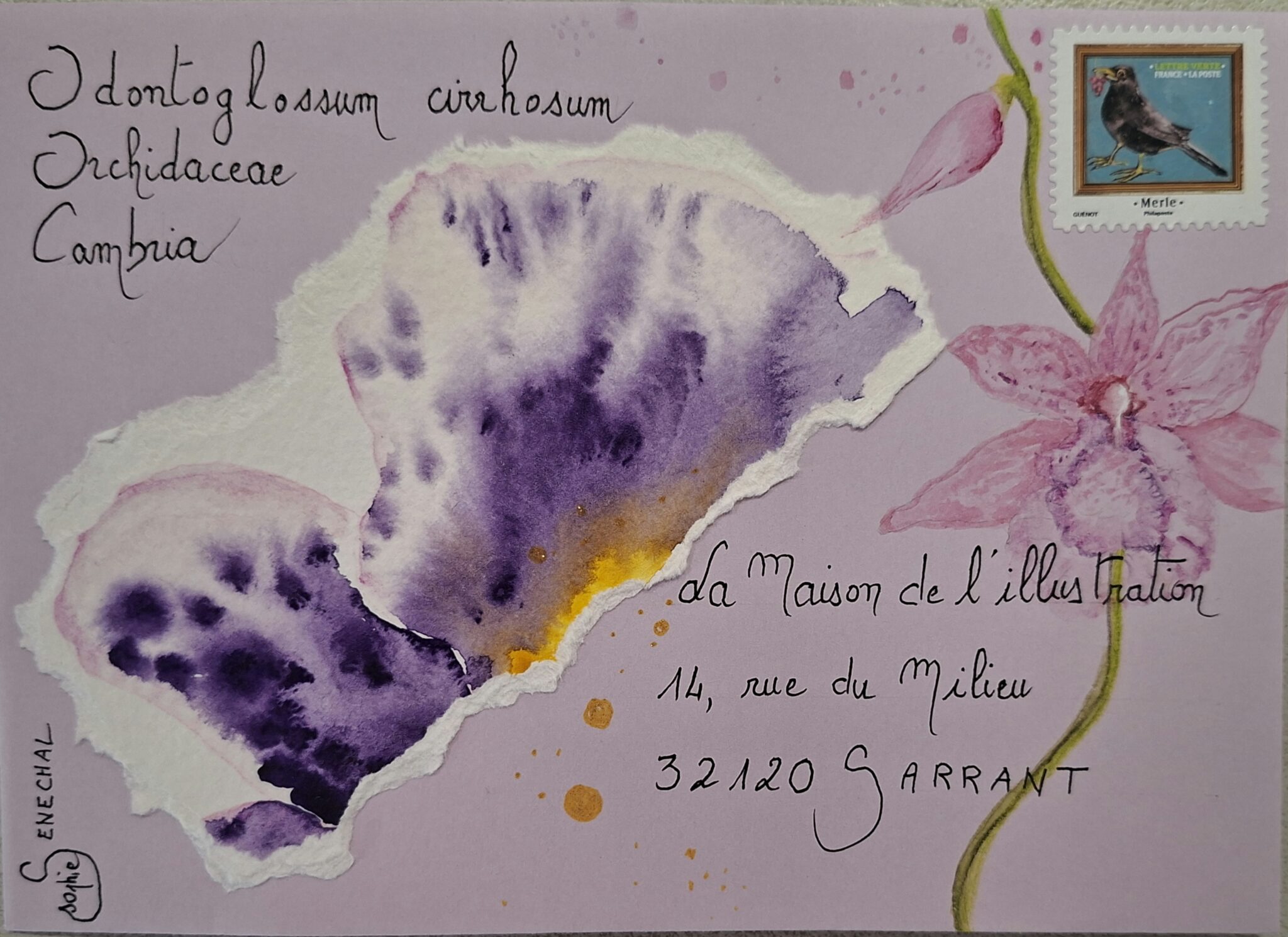 art-postal-cambria-et-son-merle-numero-2-sophie-senechal-2026