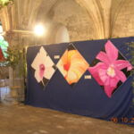 Série de coeurs de fleurs (orchidées, iris ..) par Sophie SENECHAL