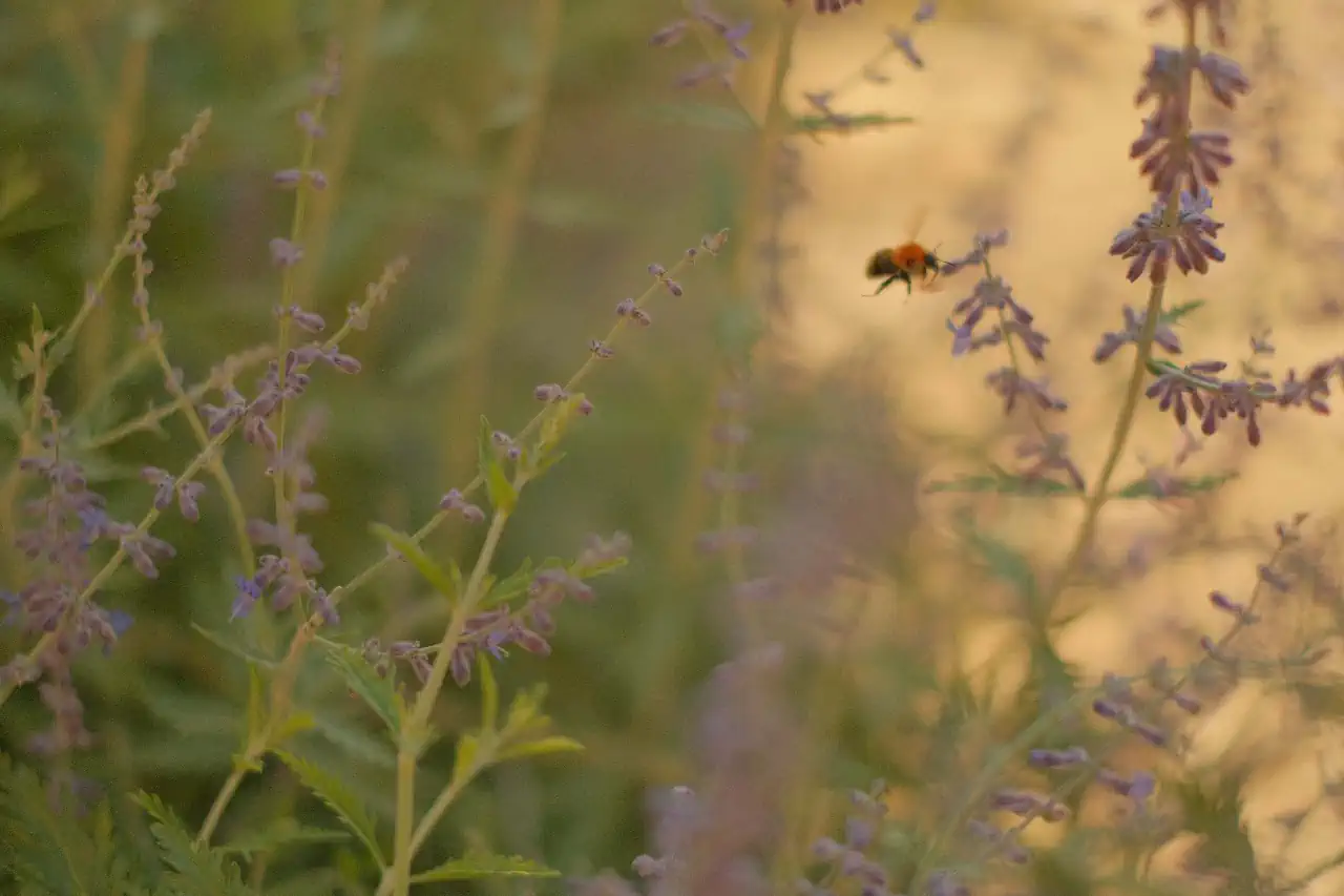 douce-provence-1