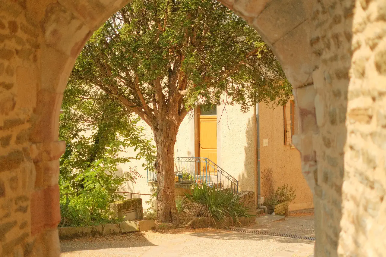 douce-provence-2