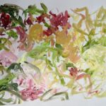 Encore des fleurs boulevard Pasteur par Marie Gabrielle Duc, l'ultraterrestre.
