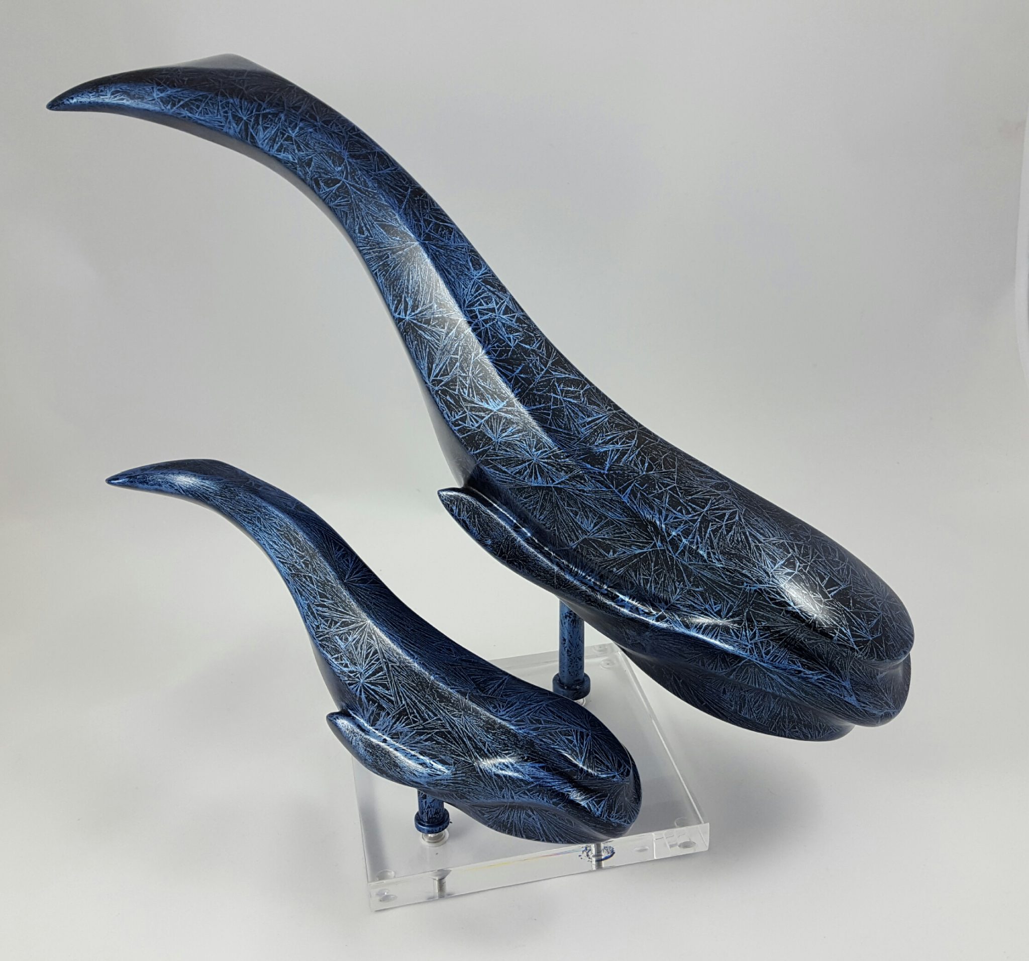 duo-marin-baleines