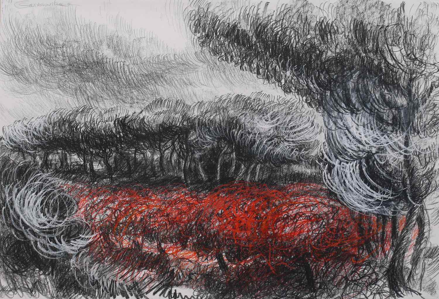 automne-dans-les-vignes