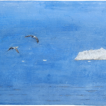 frioul\'s gulls par christian counord