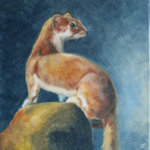 Vaillance (Hermine) par Claire JOUY