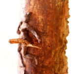 Danseuse ocre par Claire Valette