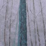 Chêne