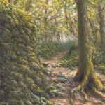 Sur le sentier karstique (Mérey-sous-Montrond) par Maxence RAFFI